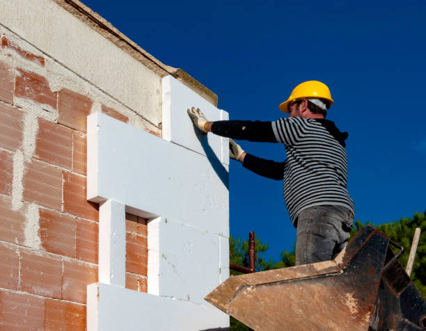 Best Cellulose Insulation in Burwell, NE