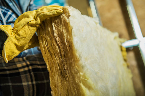Best Specialized Insulation Services in Burwell, NE
