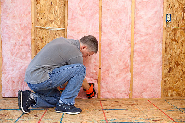 Best Geographic-Specific Insulation Services in Burwell, NE
