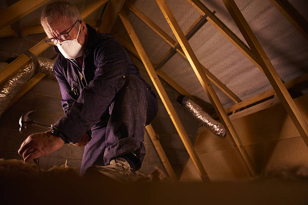Best Insulation Maintenance and Repair in Burwell, NE