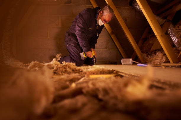 Best Eco-Friendly Insulation in Burwell, NE